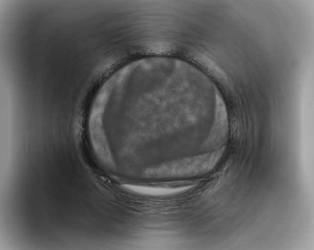 X0000093490736200711091644