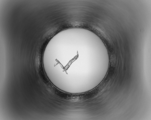 X0000093490740200711091644