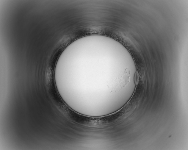 X0000093490744200711091644