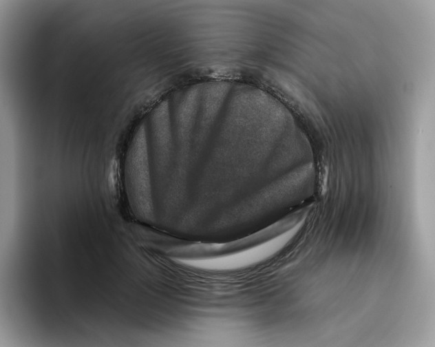 X0000093490748200711091644