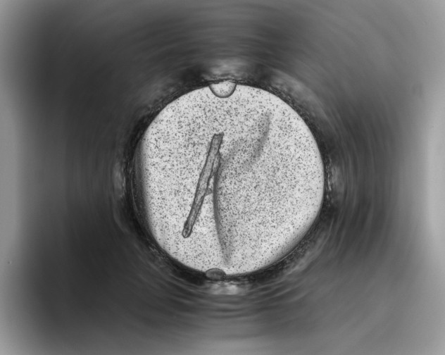 X0000093490751200711091644