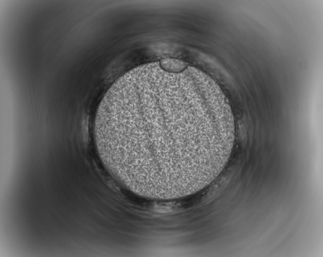 X0000093490757200711091644