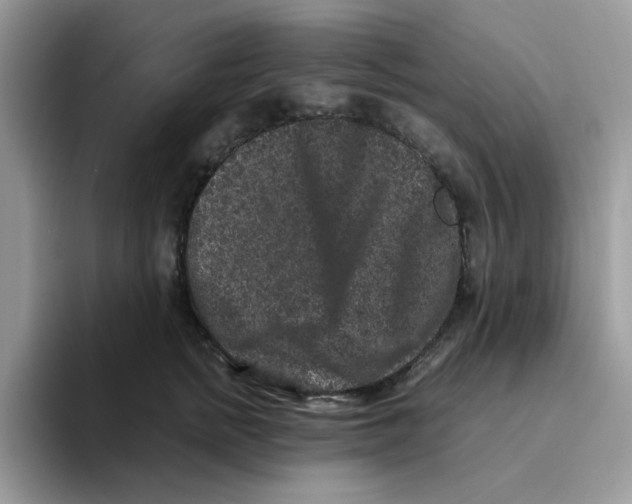 X0000093490758200711091644