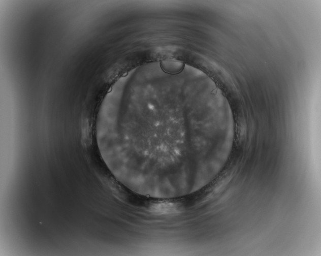 X0000093490759200711091644