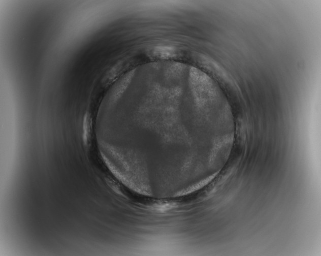 X0000093490760200711091644