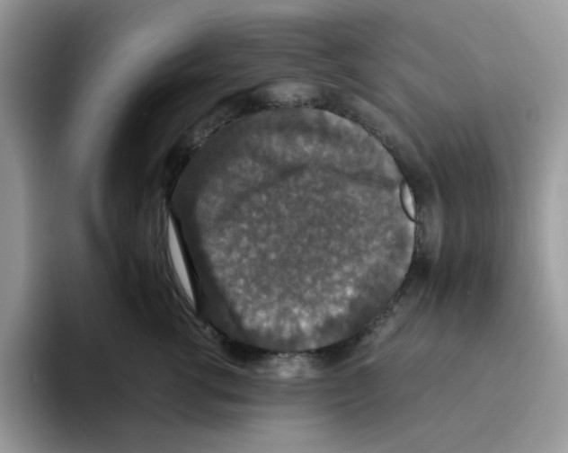 X0000093490762200711091644