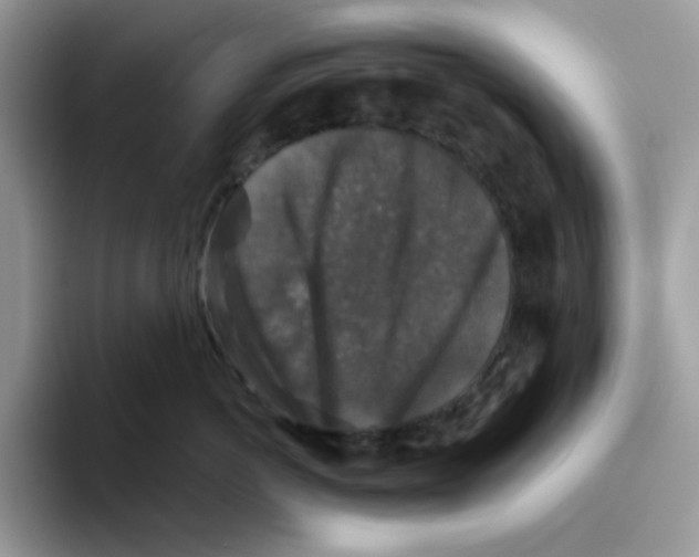 X0000093490766200711091644