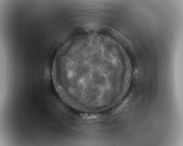 X0000093490772200711091644