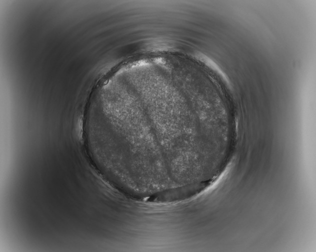 X0000093490777200711091644