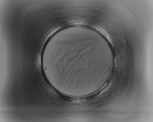 X0000093490790200711091644