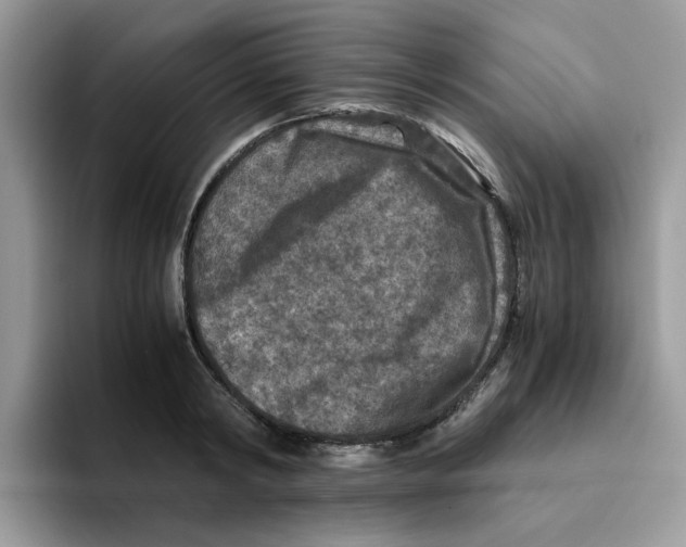 X0000093490798200711091644