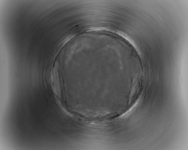 X0000093490809200711091643