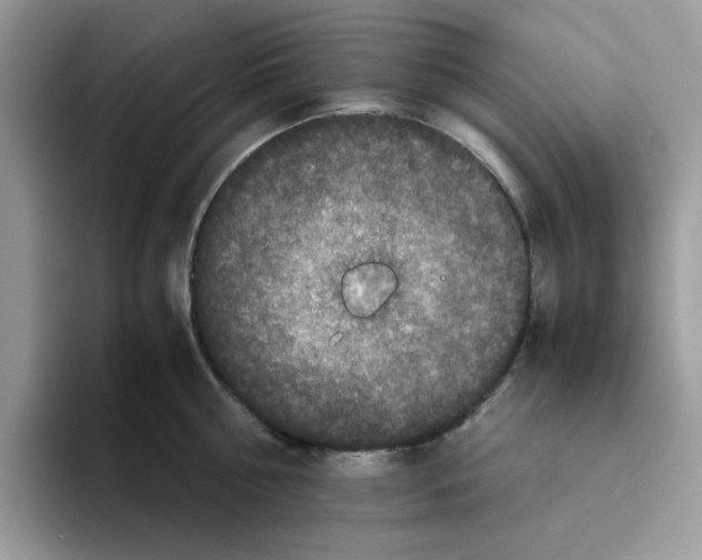 X0000093490810200711091643