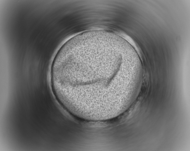 X0000093490811200711091643