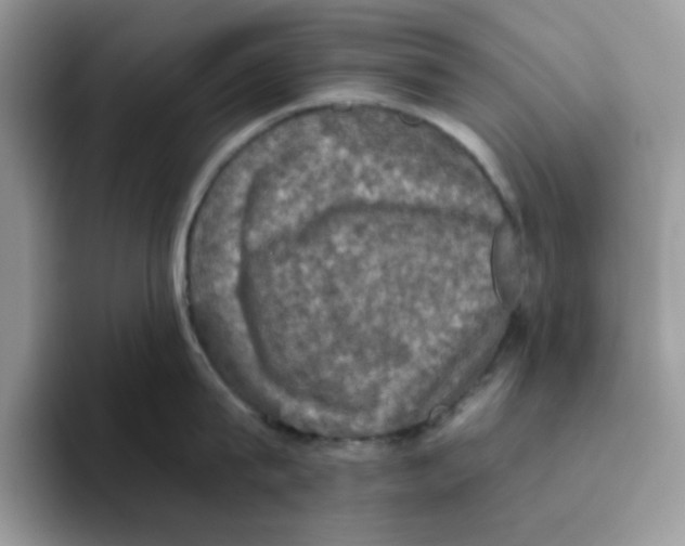 X0000093490815200711091643