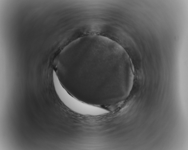 X0000093490818200711091643