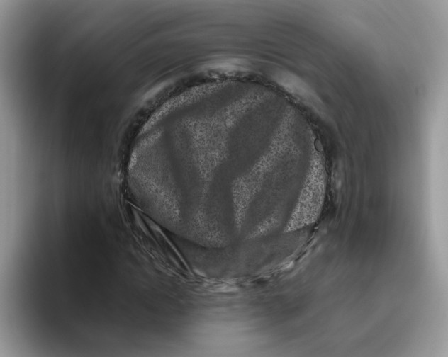 X0000093490822200711091643