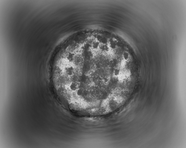 X0000093490823200711091643