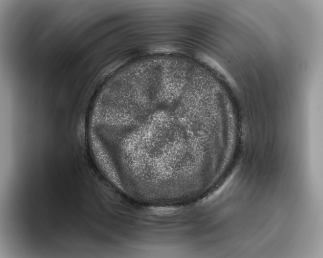 X0000093490825200711091643