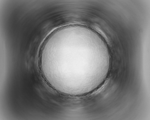 X0000093490828200711091643