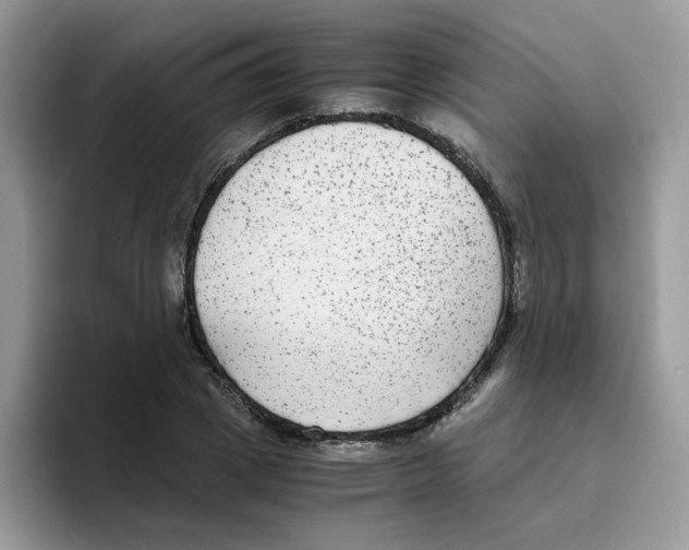 X0000093490833200711091643