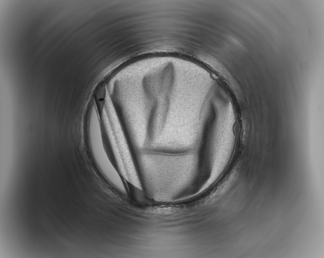 X0000093490834200711091643