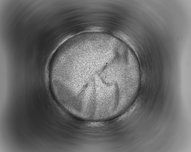 X0000093490835200711091643