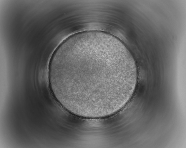 X0000093490836200711091643