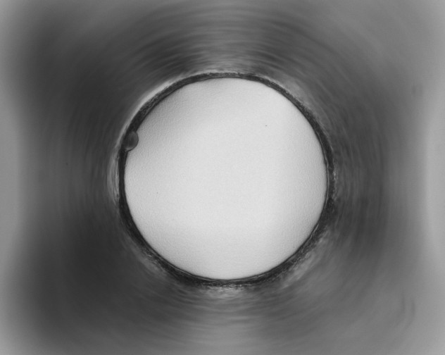 X0000093490838200711091643