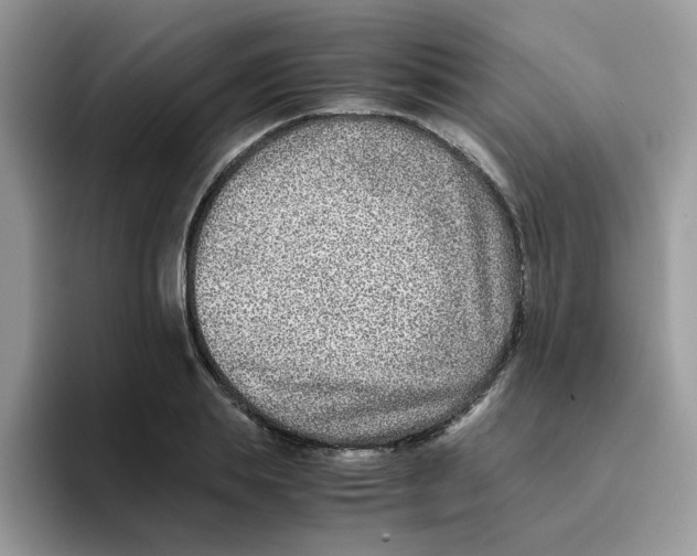 X0000093490839200711091643