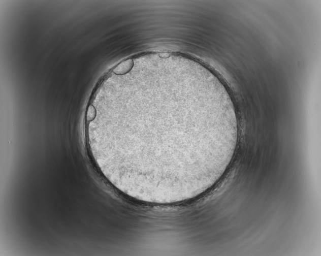 X0000093490840200711091643