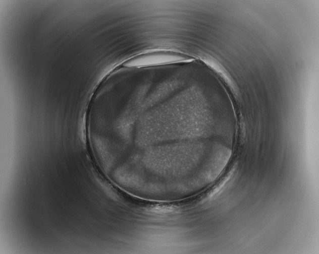 X0000093490842200711091643