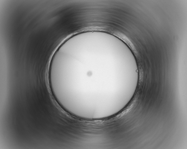 X0000093490844200711091643