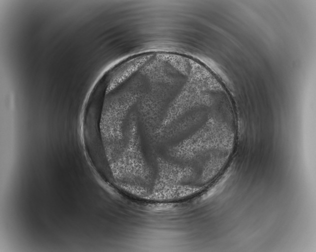 X0000093490846200711091643