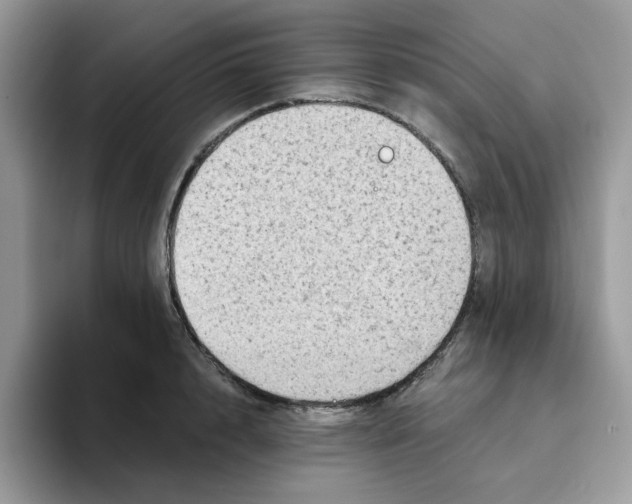 X0000093490848200711091643