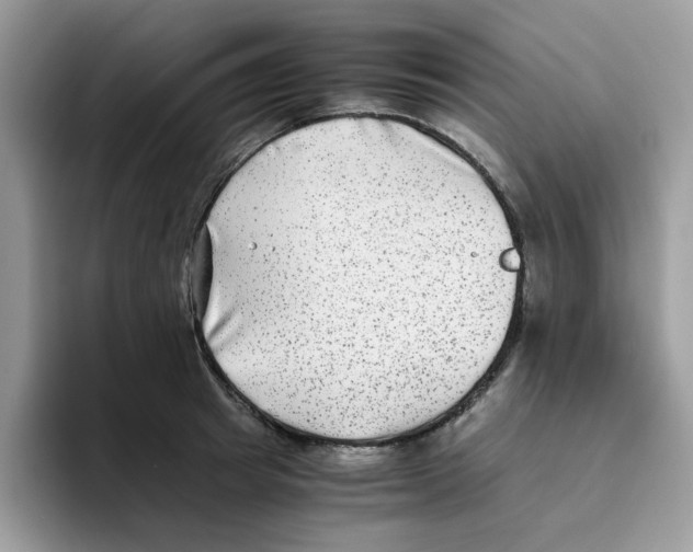 X0000093490849200711091643