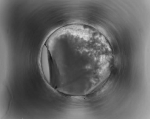 X0000093490863200711091643