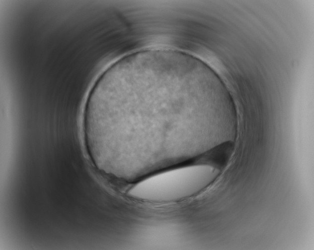 X0000093490864200711091643