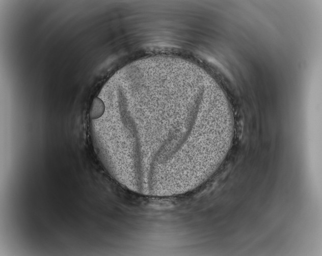 X0000093490870200711091643