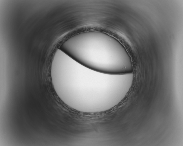 X0000093490872200711091643