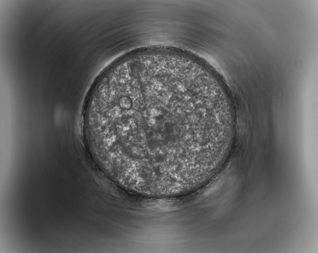 X0000093490879200711091643