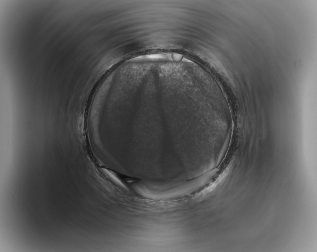 X0000093490881200711091643