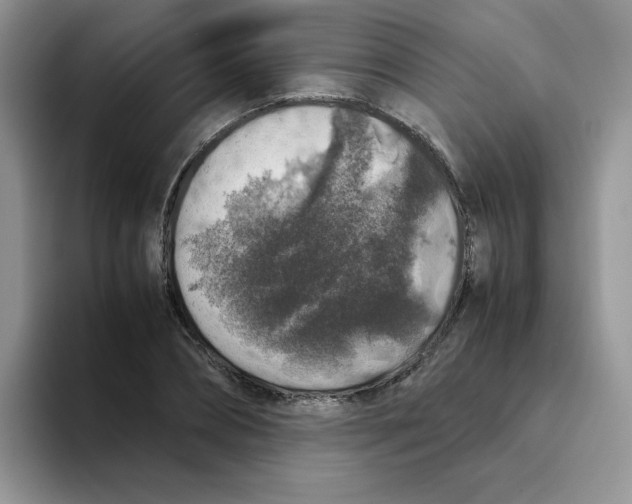 X0000093490882200711091643