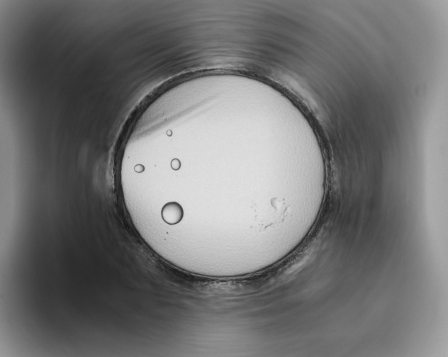 X0000093490883200711091643