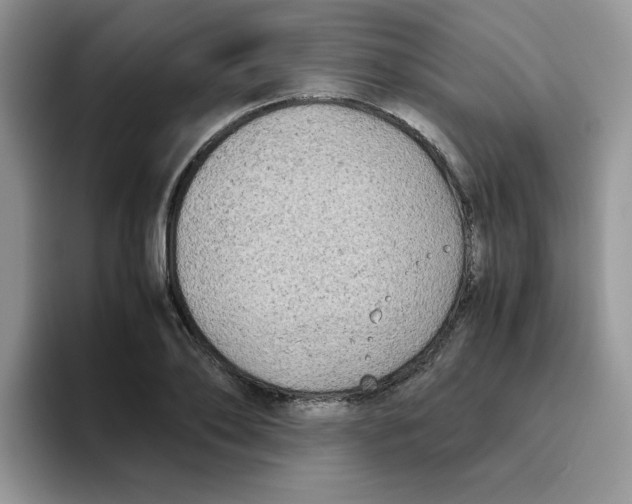 X0000093490886200711091643