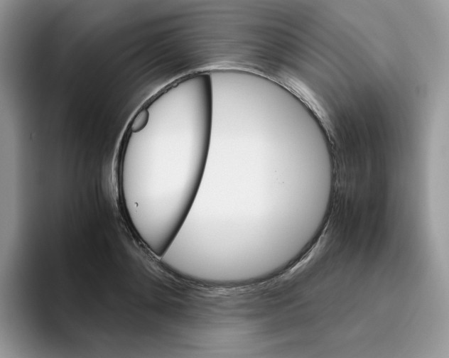 X0000093490892200711091643