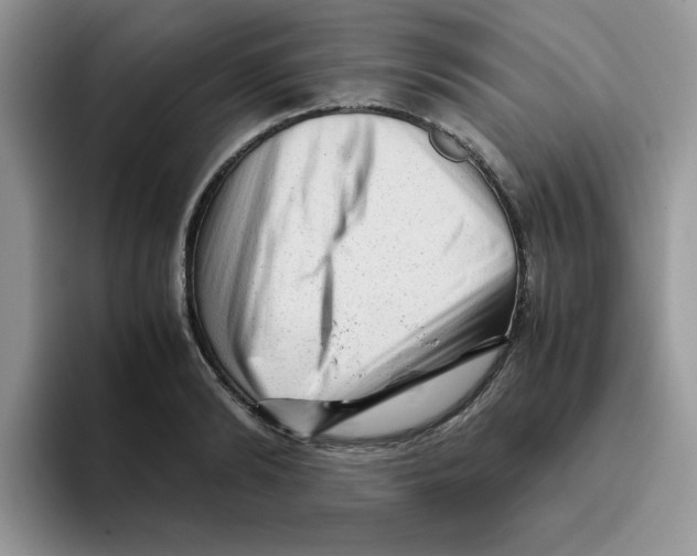 X0000093490894200711091642