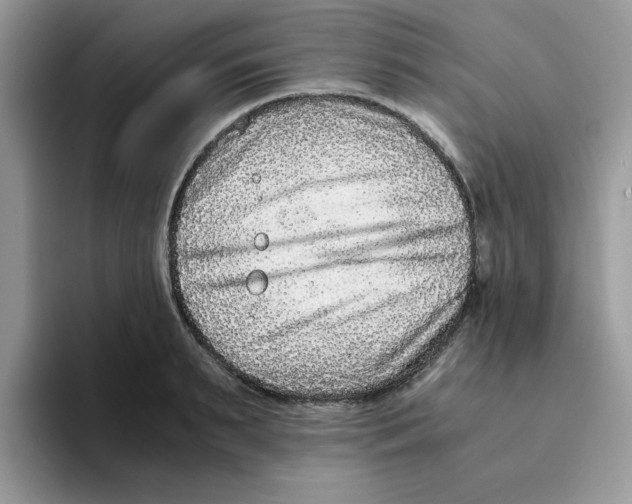 X0000093490895200711091642