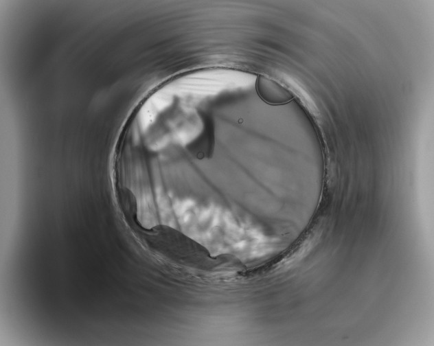 X0000093490899200711091642