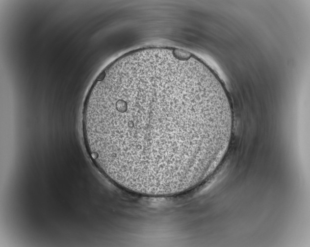 X0000093490903200711091642